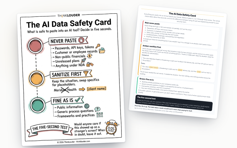 AI Data Safety Card